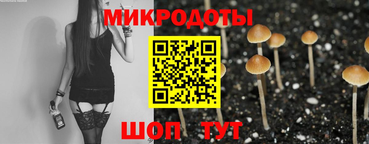 Саратов  Галлюциногенные грибы Psilocybine cubensis  Вход с VPN  Псилоцибиновые грибы Psilocybine cubensis 